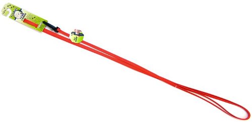 Lil Pals 6 Foot Dog Leash Red With A Width Of 5/16 In.
