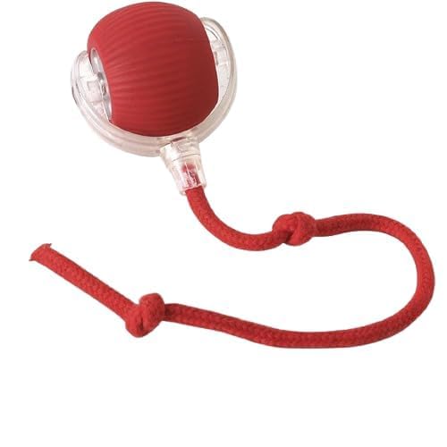 PIHARVA Interactive Electric Automatic Rolling Moving Rechargeable Self Play Stimulation Toy for Cats and Small Dogs  Smart Pet