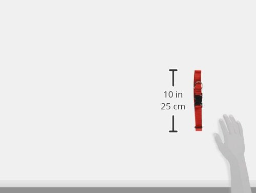 LupinePet Basics 1&quot; Red 12-20&quot; Adjustable Collar for Medium and Larger Dogs