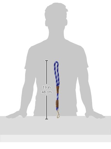 Mendota Pet Traffic Leash - Short Dog Lead - Made In The Usa - Sapphire, 1/2 In X 16 In