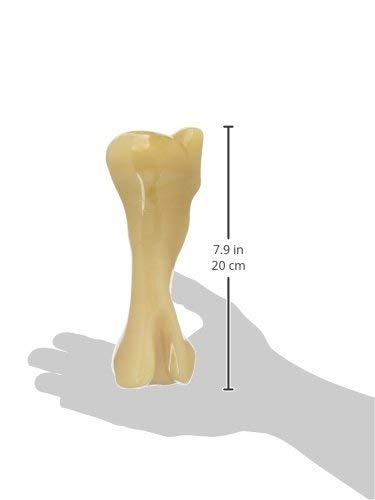 Nylabone Power Chew Femur Bone Big Dog Chew Toy Chicken Xx-Large/Monster - 50++ Lbs. (1 Count)