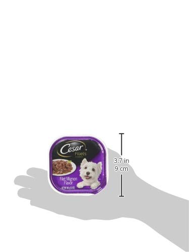 Cesar Filets in Gravy Adult Wet Dog Food, Filet Mignon Flavor, 3.5 oz. (24 Count, Pack of 1)