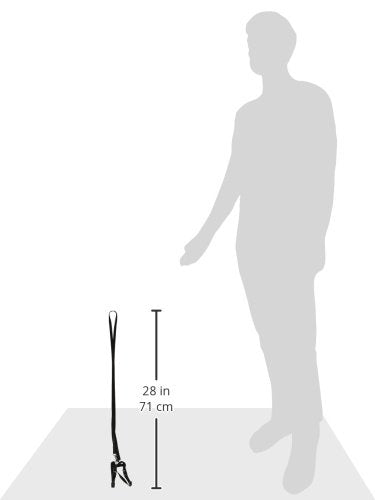 Marshall Pet Products Harness & Lead (Black)