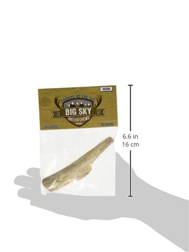 SCP 1CT MD ANTLER CHEW - BIG SKY