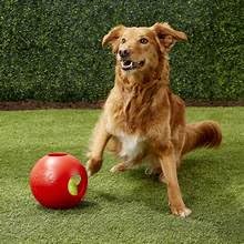Teaser Ball Size: 6.5'' H X 6'' W X 6.25'' D, Color: Red
