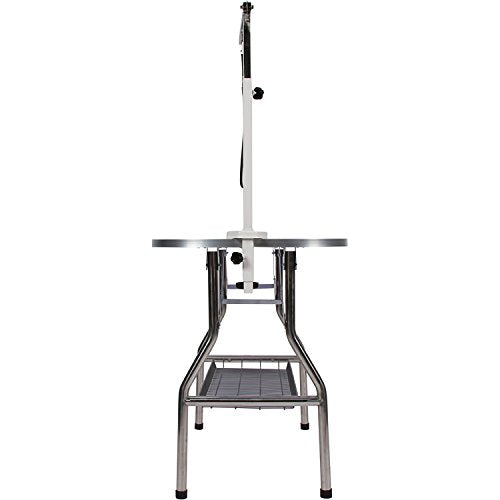 Flying Pig Heavy Duty Stainless Steel Pet Dog Cat Bone Pattern Rubber Surface Grooming Table With Arm/Noose (Sky Blue, 38X22)