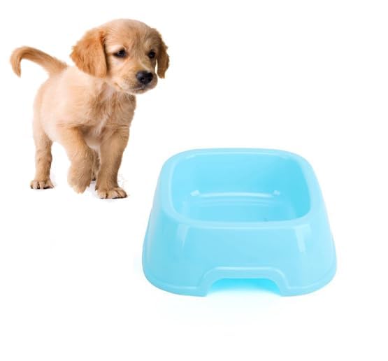 Pups&Pets Pets Square Shape Food Bowl Candy Color Plastic Drinking Bowl NonToxic Environmentally Friendly Feeder Bowl For All D
