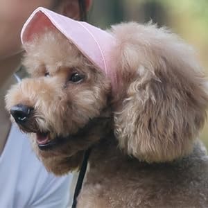 Pet Baseball, Dog Cat Outdoor Sunbonnet With Ear Holes Adjustable Ste Summer Pet Parent Child Hat(S)