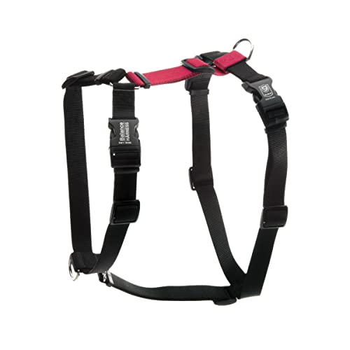 Blue-9 Buckle-Neck Balance Harness, Fully Customizable Fit No-Pull Harness, Ideal For Dog Training And Obedience, Made In The Usa, Red, Small