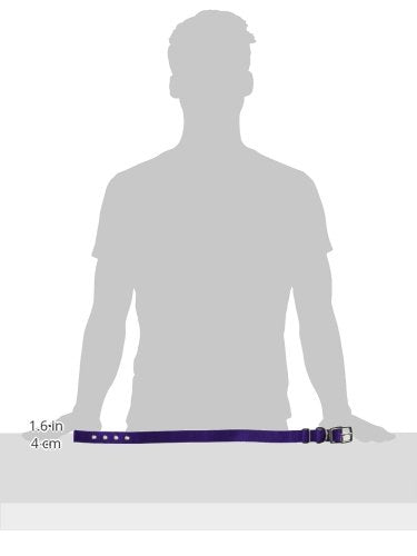 Hamilton Thick Nylon Deluxe Dog Collar, 1-Inch By 24-Inch Double, Purple