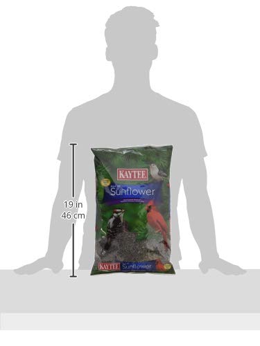Kaytee Wild Bird Black Oil Sunflower Food, 5 Pounds