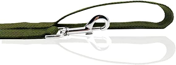 Nylon Dog Leash 4 Ft 5 Feet 6 Foot Long, Walking Training Dog Leashes For Medium Large Dogs, 1 Inch Wide (3/4'' X 6 Ft, Green)