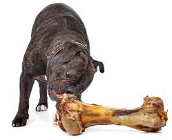 EcoKind Dog Bone Giant Femur Bone for Dogs | 1 Bone | Long Lasting Mammoth Dog Bones for Aggressive Chewers, Rawhide Free Health