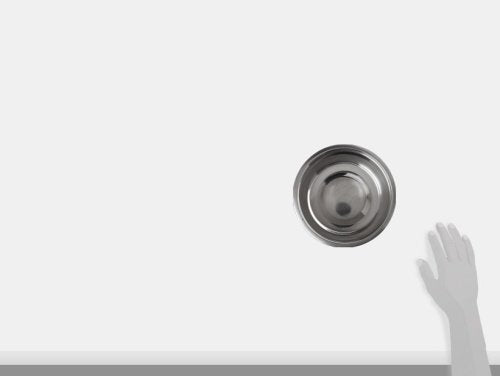 Loving Pets Standard Stainless Dish, Dog Bowl, 2-Quart