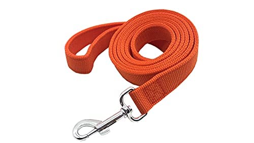 Strong Nylon Dog Leash With 2-Layer, 4 Ft/ 6 Ft/ 7Ft Long, 1 Inch Wide For Medium Large Dogs (Orange, 1'' X 2 Ft)