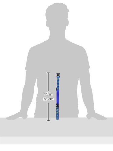 Lupinepet Originals 3/4' Sea Glass 13-22' Adjustable Collar For Medium And Larger Dogs