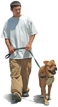 Sense-Ation No-Pull Dog Harness (Black, Medium)