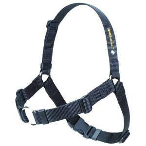 Softouch Concepts Sense-Ation No-Pull Dog Harness - Black Xsmall