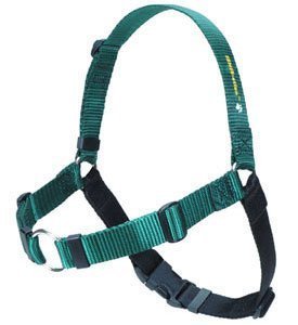 Sense-Ation No-Pull Dog Harness (Green, Large Wide)