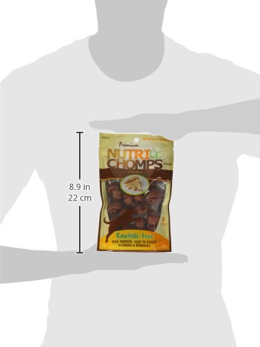 SCP 8CT CHKN FLAVOR MINI KNOT