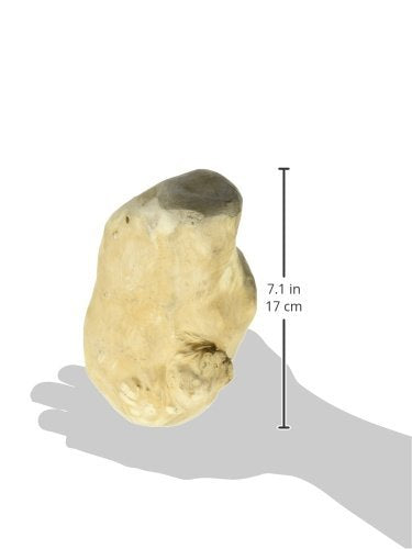 Ware Manufacturing 2 Pack Of Gorilla Chew, Large, Long Lasting Wood Chew For Dogs