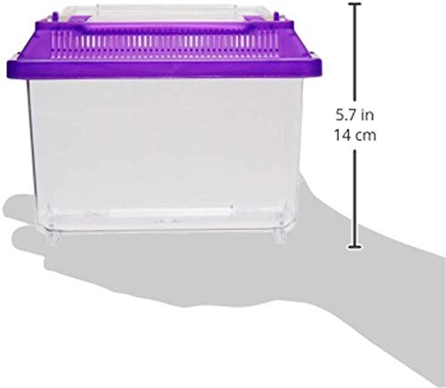 Kritter Keeper (Pack Of 3) - Mini Size