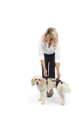 Petsafe Carelift Support Harness - Full Body Lifting Aid With Handle - Great For Pet Mobility And Older Dogs - Comfortable, Brea
