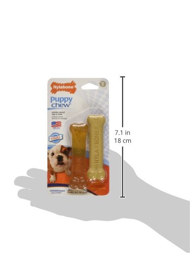 Nylabone Classic Puppy Chew Toy Twin Pack - Puppy Chew Toys For Teething - Puppy Supplies - Chicken & Peanut Butter Flavor, X-Small/Petite (2 Count)