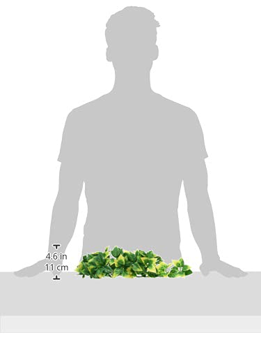 Exo Terra Plastic Terrarium Plant, Medium, Amapallo