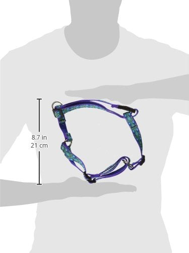 LupinePet Originals 3/4'' Rain Song 14-24'' Adjustable Roman Dog Harness for Medium Dogs