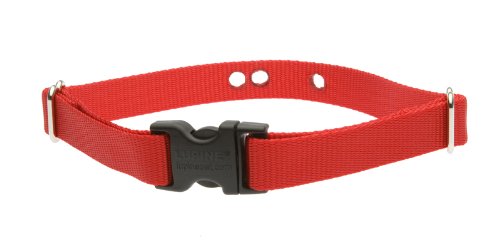 Lupinepet Basics 3/4' Red 12-17' Containment Collar Strap For Small To Medium Dogs