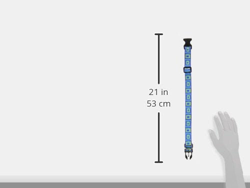 LupinePet Originals 1&quot; Sea Glass 12-20&quot; Adjustable Collar for Medium and Larger Dogs