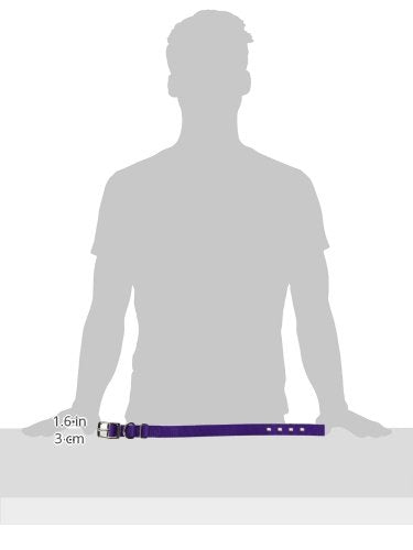 Hamilton Double Thick Nylon Deluxe Dog Collar, 1-Inch by 20-Inch, Purple