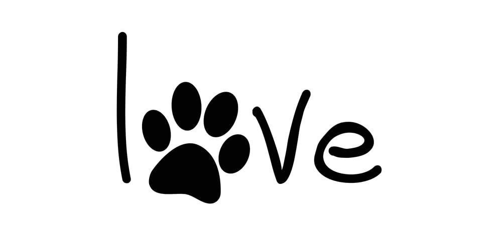 Infinity Collection Pet Memorial Jewelry | Charm Paw Print Keychain | Forever In My Heart | Best Gift For Pet Lover And Pet Owner | Dog Memorial Keychain