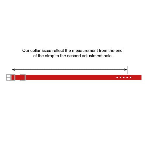 Terrain D.O.G. Brahma Webb Dog Collar, 15'' X 3/4'', Hot Pink