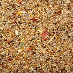 Volkman Avian Science Super Parakeet Bird Food 4lb