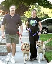 Softouch Sense-Ation No-Pull Dog Harness - Red With Black Medium/Large (Narrow)