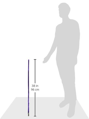 Lupinepet Basics 1/2' Purple 6-Foot Padded Handle Leash For Small Pets