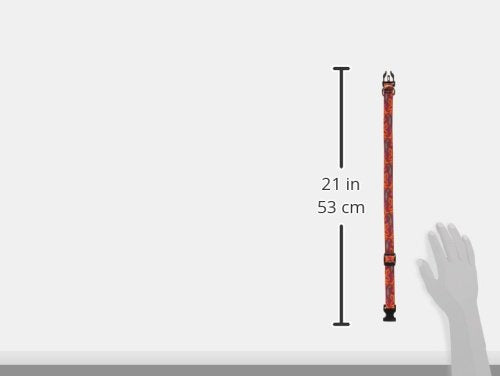 LupinePet Originals 3/4&quot; Go Go Gecko 13-22&quot; Adjustable Collar for Medium and Larger Dogs