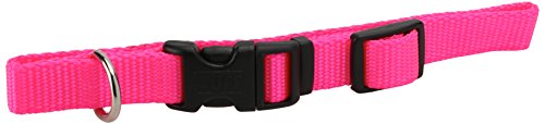 Coastal Pet Products Dcp6401Npk 5/8-Inch Nylon Adjustable Dog Collar, Small, Neon Pink