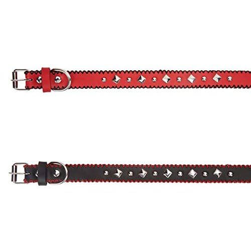 Zack & Zoey Pop Stitch Dog Collar, 11 To 14-Inch, Black