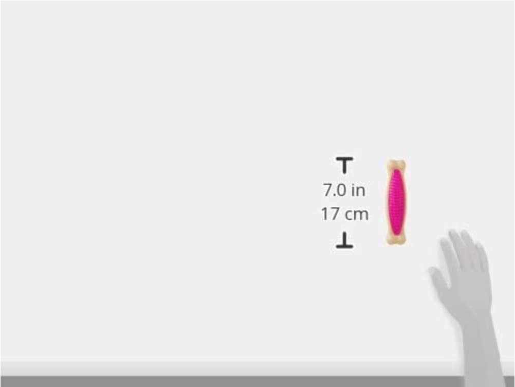 Hartz Chew 'N Clean Tuff Bone Bacon Scented Dental Dog Chew Toy - Large