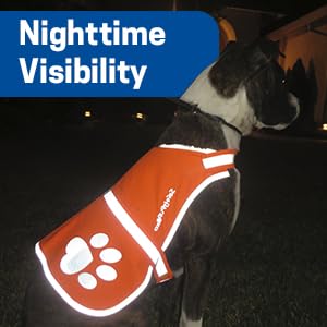 Safetypup Xd Reflective Dog Vest. Hi-Visibility, Fluorescent Blaze Orange Dog Vest Helps Protect Your Best Friend. Safeguard Your Pup From Motorists & Hunting Accidents, On Or Off Leash. (Large)