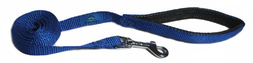 Doggie Design American River Cushion Grip Nylon Dog Leash (Royal Blue, 3/4 Inch X 5 Feet)