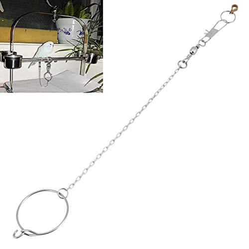 Bird Anklet Chain, Parrot Foot Ring Stainless Steel Bird Leash Parrot Opening Activity Ring Bird Stand Anklet Pet Bird Supplies 