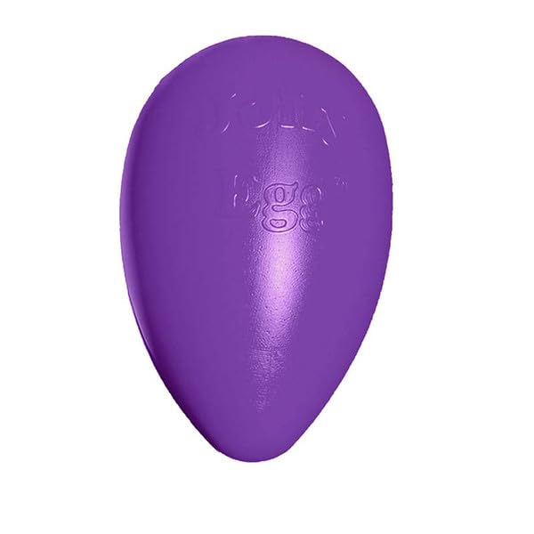 Jolly Pets Jolly Egg Plastic Dog Chew Toy 8 Inch Purple