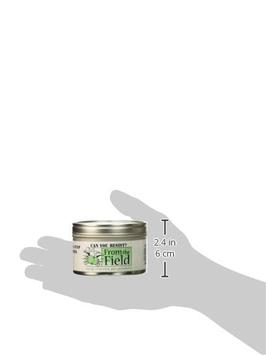 From The Field 1-Ounce Can You Resist Catnip Leaf And Flower Tin Can