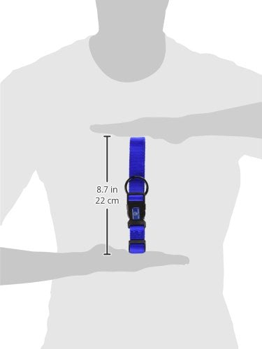 Hamilton Adjustable Nylon Dog Collar, Blue, 1' X 18-26'