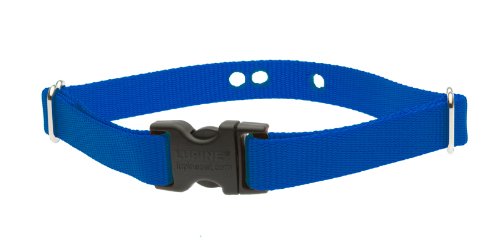 Lupinepet Basics 3/4' Blue 19-31' Containment Collar Strap For Extra Large Dogs