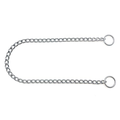 ChampWei Heavy Chain Dog Metal Collars, Adjustable Weather Proof Alloy Steel Necklace for Small Medium Large Dogs (Silver, M)